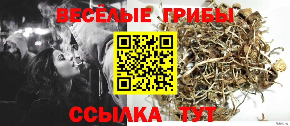 Галлюциногенные грибы Psilocybine cubensis  Вход с VPN  Лабинск 