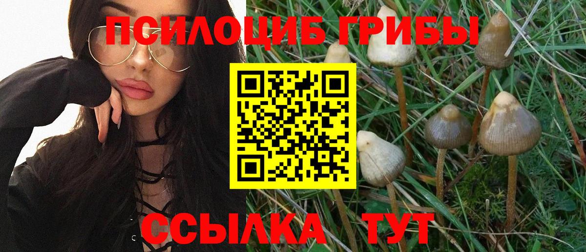 Псилоцибиновые грибы Magic Shrooms Лабинск