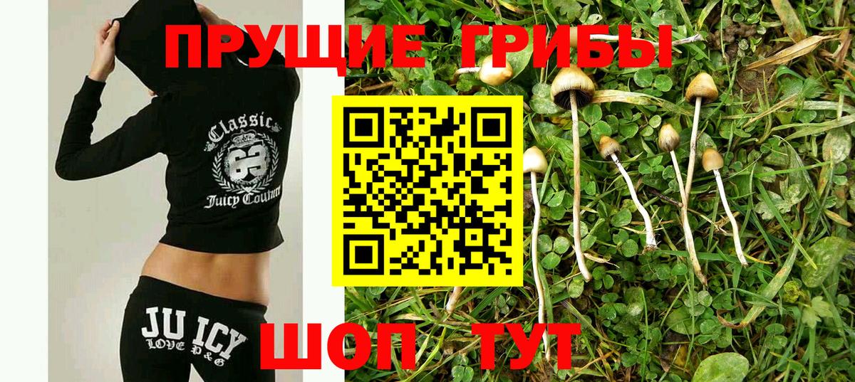 Псилоцибиновые грибы Magic Shrooms Лабинск